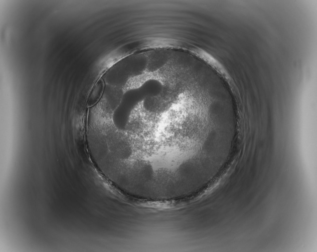 X0000087510937200704271120