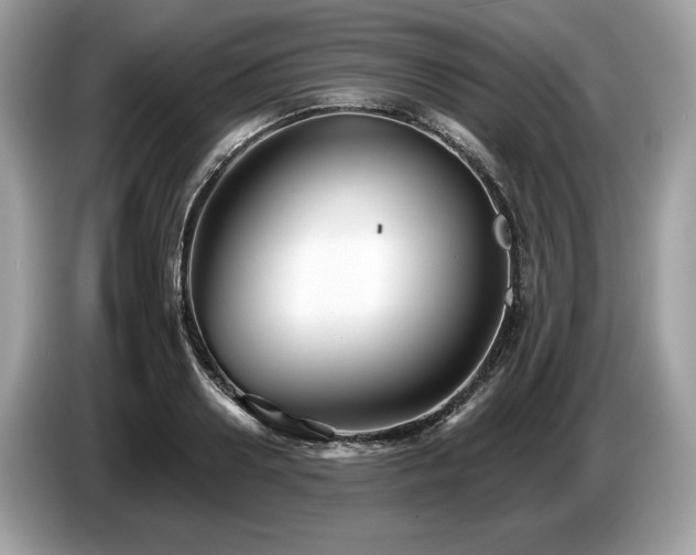 X0000087510938200704271120