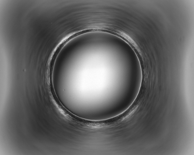 X0000087510939200704271120