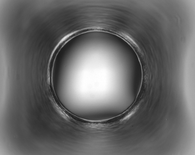 X0000087510940200704271120