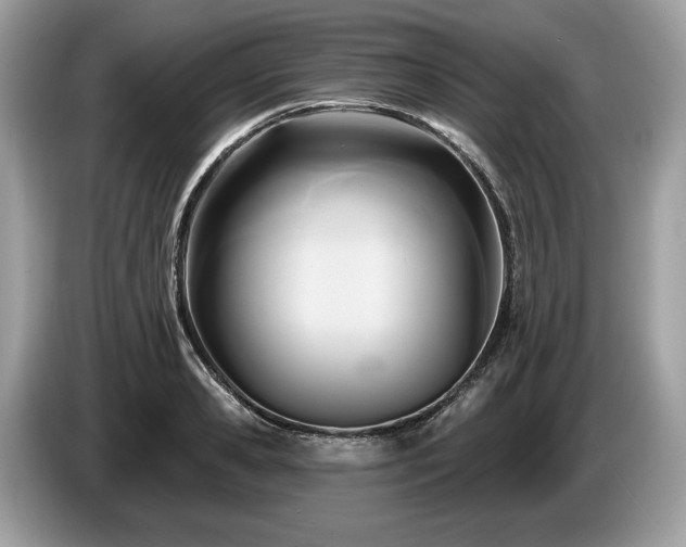 X0000087510941200704271120