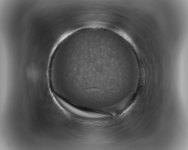 X0000087510943200704271120