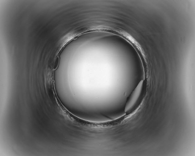 X0000087510945200704271120