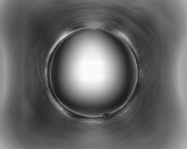X0000087510947200704271120