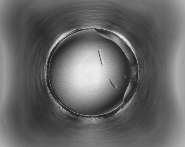 X0000087510949200704271120