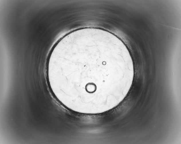 X0000087510950200704271120