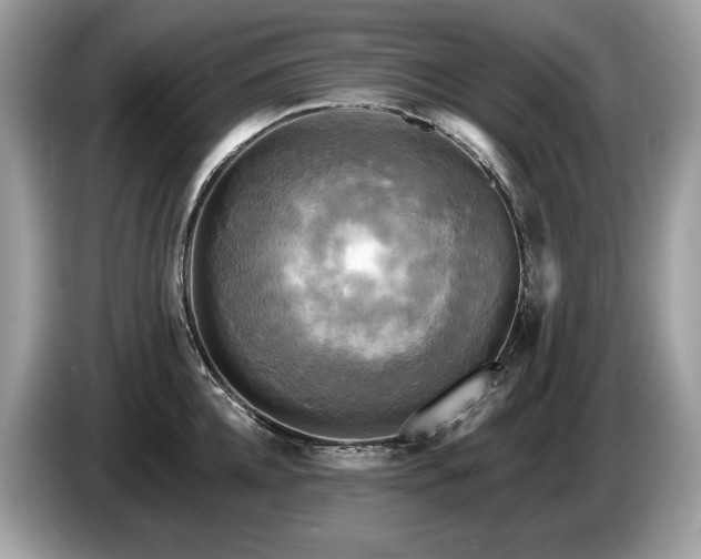 X0000087510952200704271120