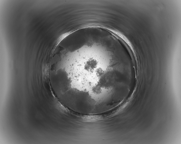 X0000087510953200704271120