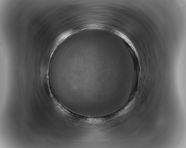 X0000087510954200704271120