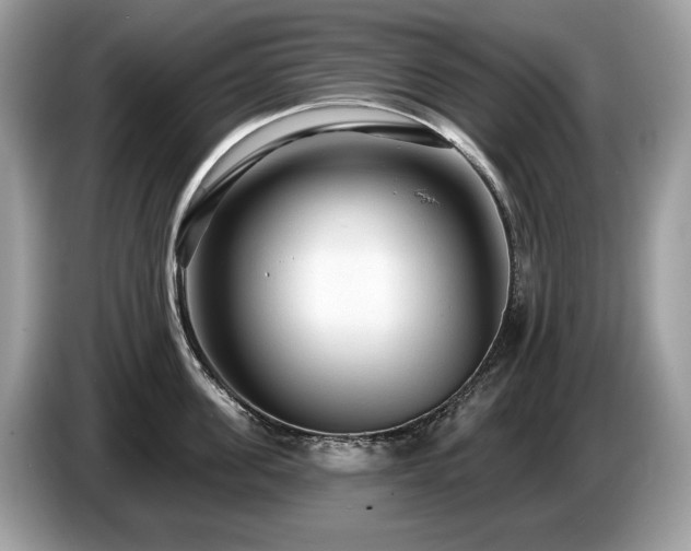 X0000087510955200704271120
