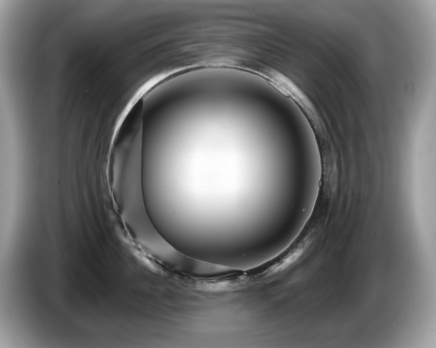 X0000087510956200704271120