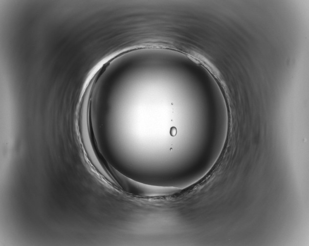 X0000087510960200704271120