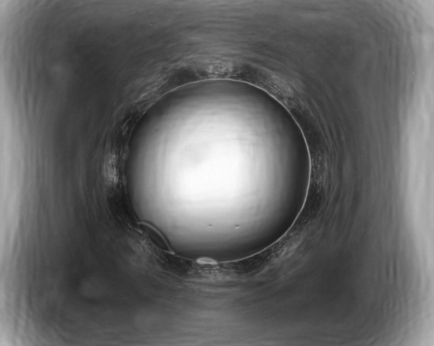 X0000087510962200704271120
