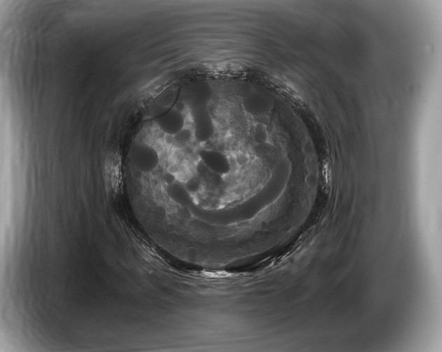 X0000087510963200704271120