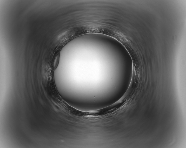 X0000087510964200704271120