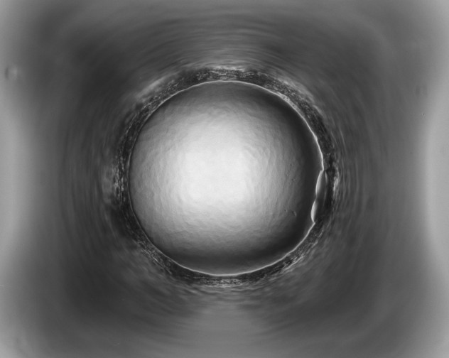 X0000087510966200704271120