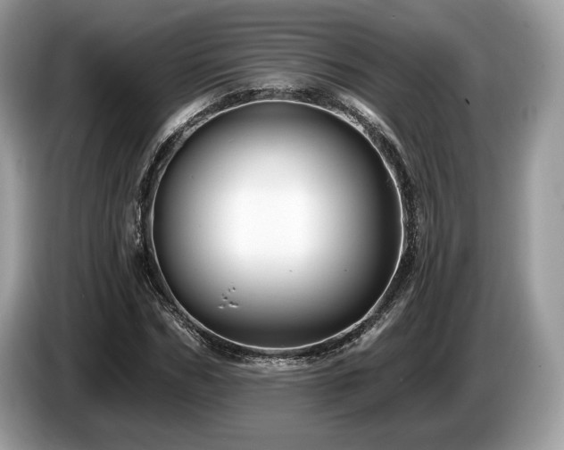 X0000087510970200704271120