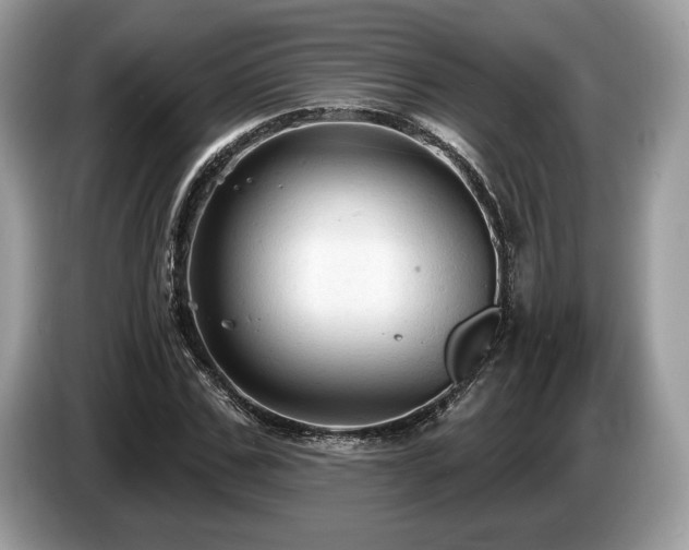 X0000087510971200704271120