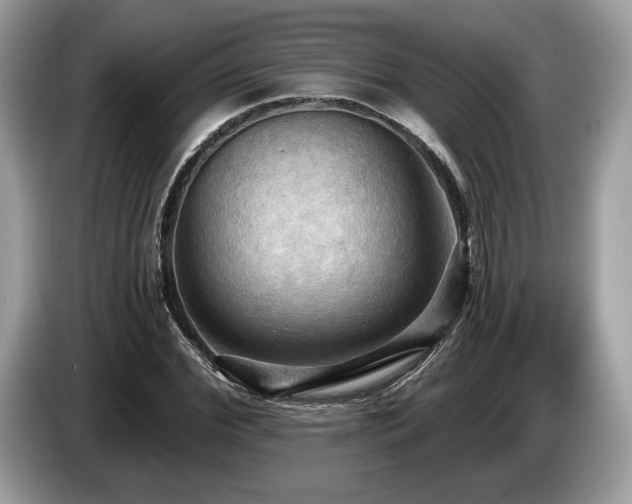 X0000087510972200704271120