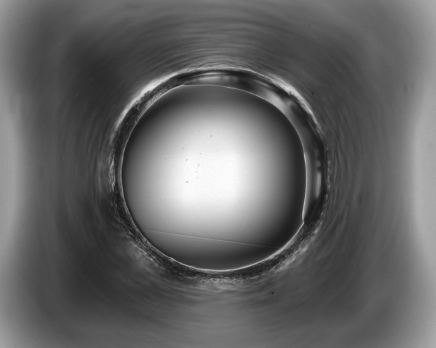 X0000087510973200704271120