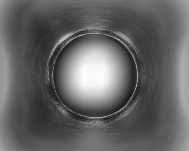 X0000087510974200704271120