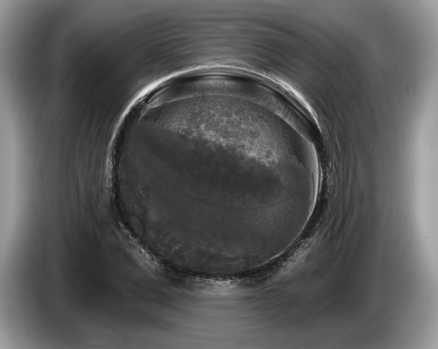 X0000087510975200704271120