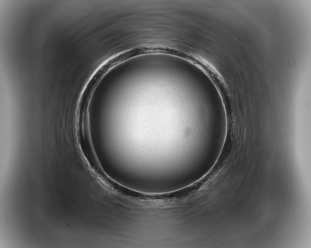 X0000087510976200704271120