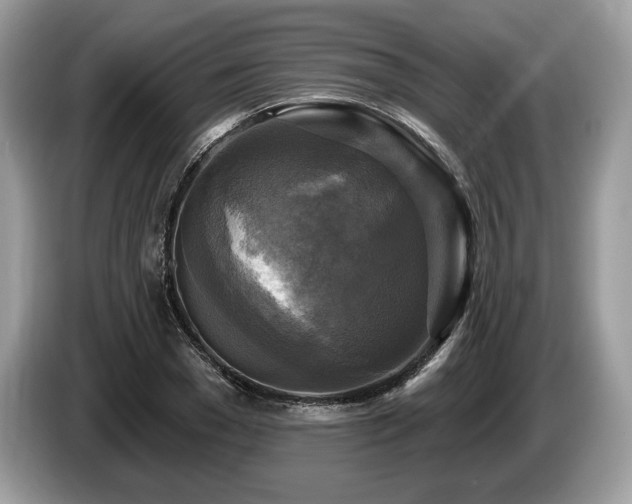 X0000087510977200704271120