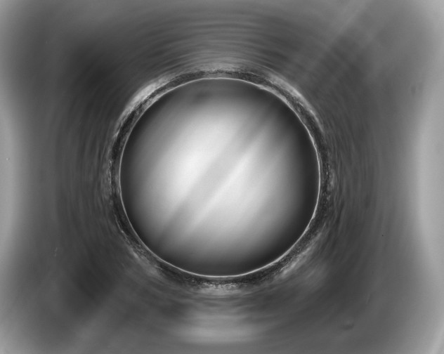 X0000087510978200704271119