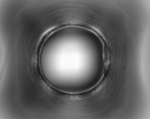X0000087510979200704271119