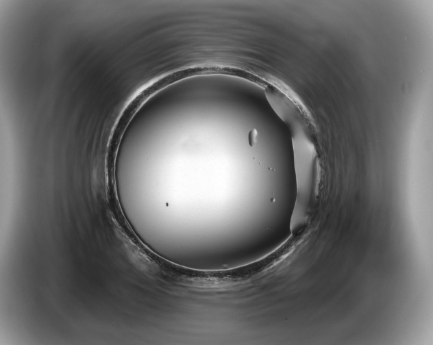 X0000087510980200704271119