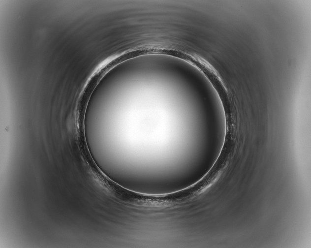 X0000087510981200704271119