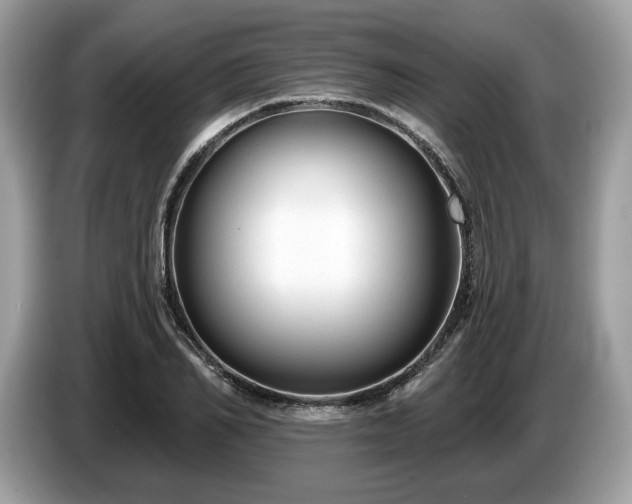 X0000087510982200704271119