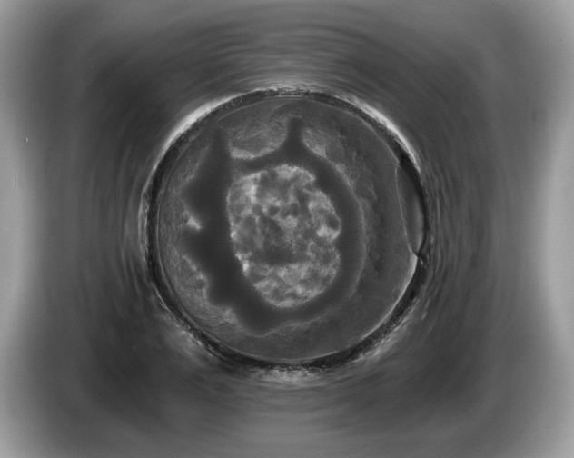 X0000087510983200704271119
