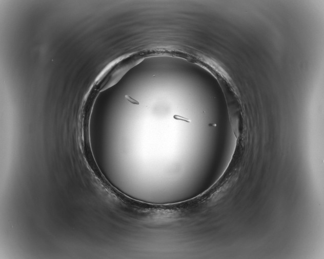 X0000087510984200704271119