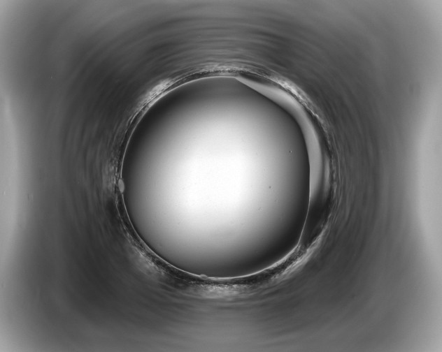 X0000087510985200704271119