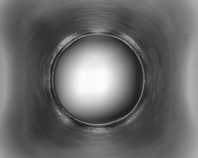 X0000087510986200704271119