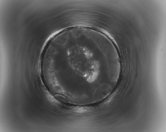 X0000087510987200704271119