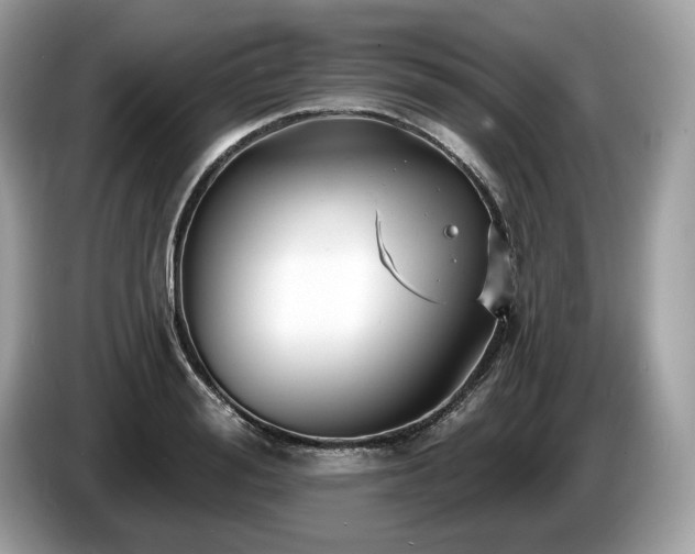 X0000087510988200704271119