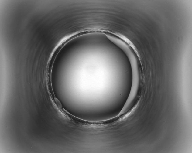 X0000087510989200704271119