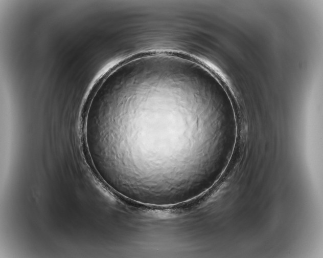 X0000087510990200704271119