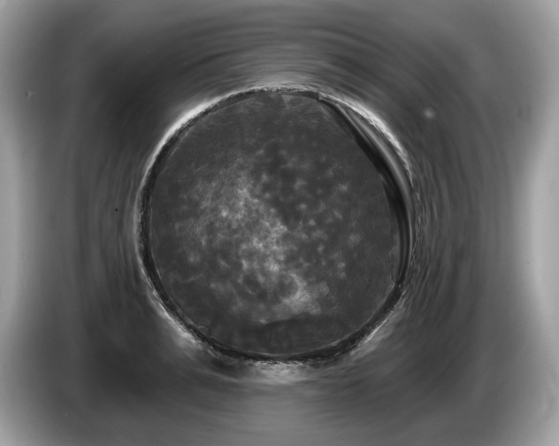 X0000087510991200704271119