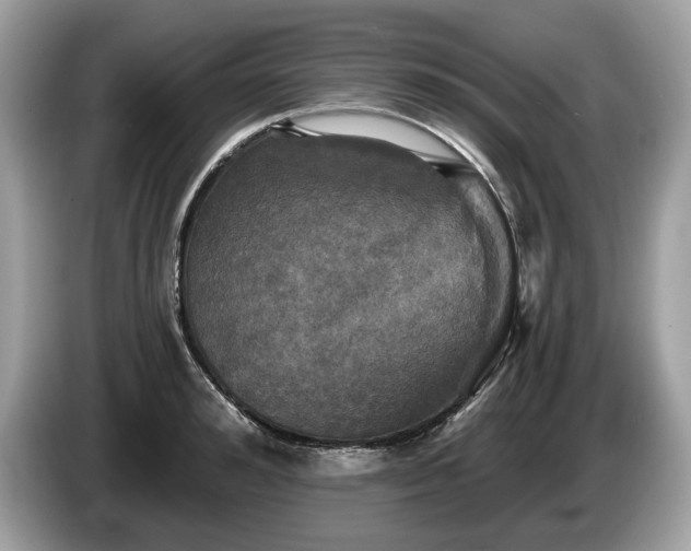 X0000087510992200704271119