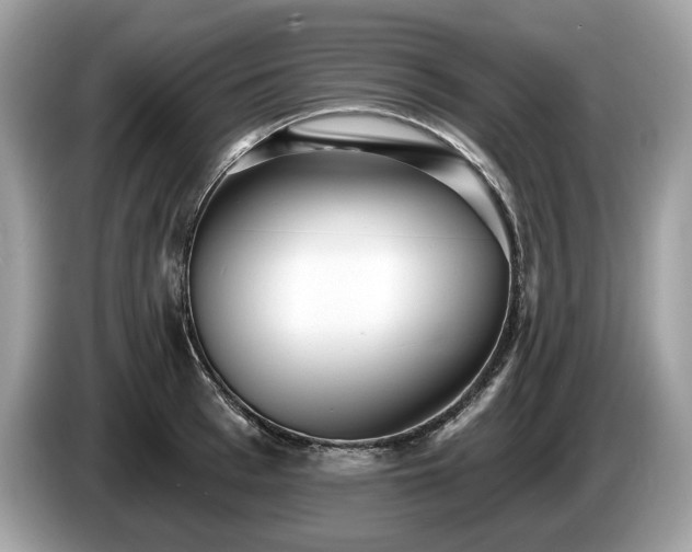 X0000087510993200704271119
