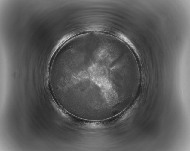 X0000087510994200704271119