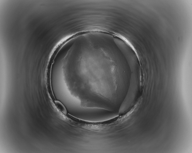 X0000087510995200704271119