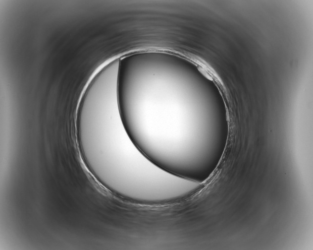 X0000087510996200704271119