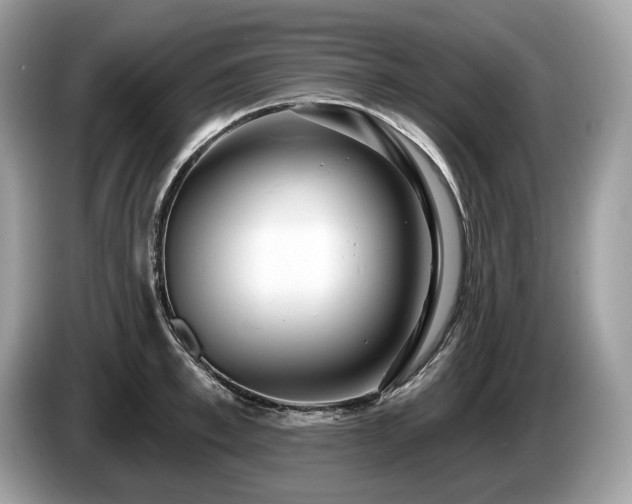 X0000087510997200704271119