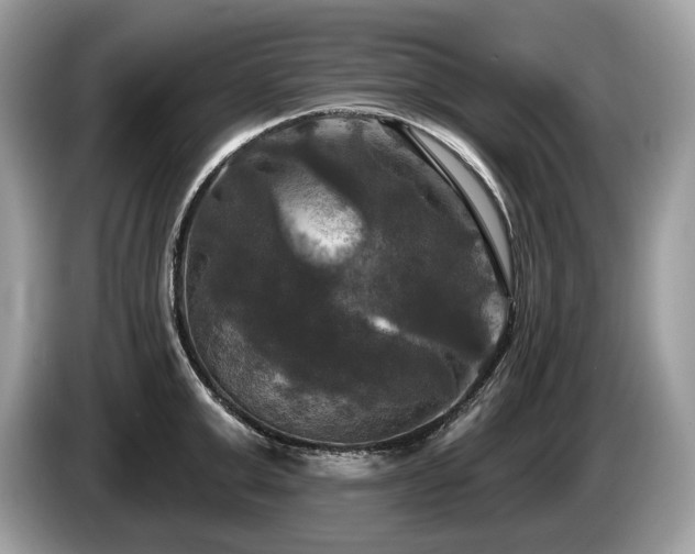 X0000087510999200704271119