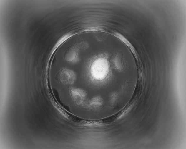 X0000087511002200704271119
